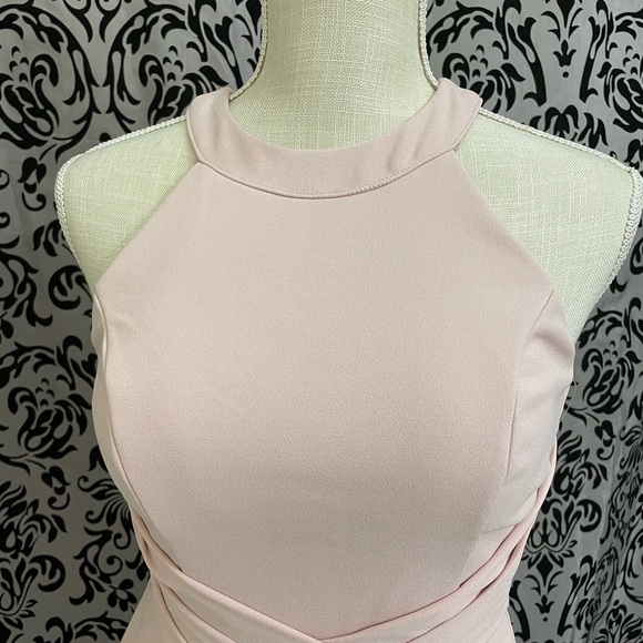 Petite Blush dress - Picture 4 of 14